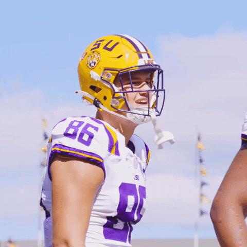 Ncaa Football GIF by LSU Tigers