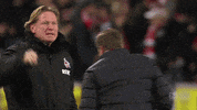1 Fc Cologne Football GIF by 1. FC Köln