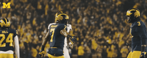 Michigan Football Touchdown GIF by Michigan Athletics