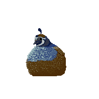 8 Bit Pixel Sticker by Megan