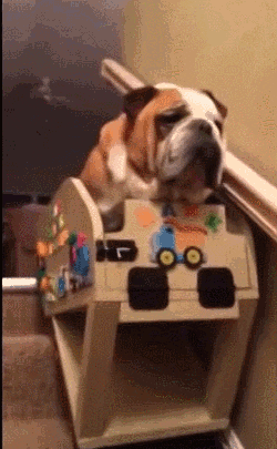 lift stair GIF