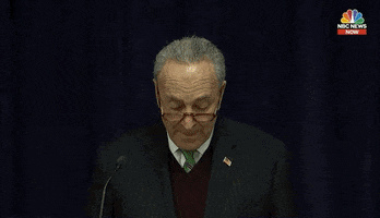 chuck schumer GIF