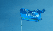 Corpus Christi Islanders GIF by Texas A&M University-Corpus Christi