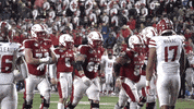 RedHawk_Recruit  GIF