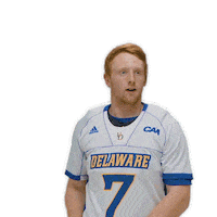 ncaa sports sport Sticker by Delaware Blue Hens
