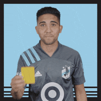 Minnesota United Argentina GIF by MNUFC
