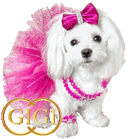 Dog Fashion Maltese Sticker by Pimp Yo Pets