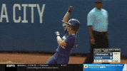 ncaasports ncaa softball washington huskies GIF