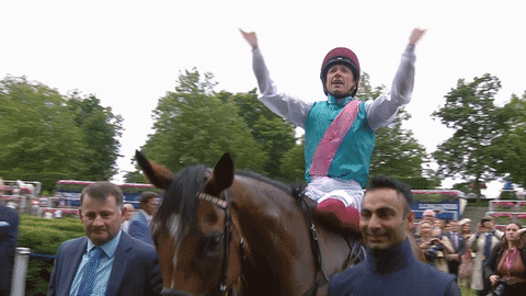 Frankie Dettori GIF by World Horse Racing