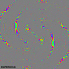 Rainbow Loop GIF by Psyklon