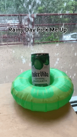 DulceVidaTequila giphygifmaker tequila vida dulce GIF