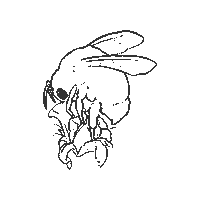 BiosfarVanerskargarden flower bumblebee unesco agenda 2030 Sticker