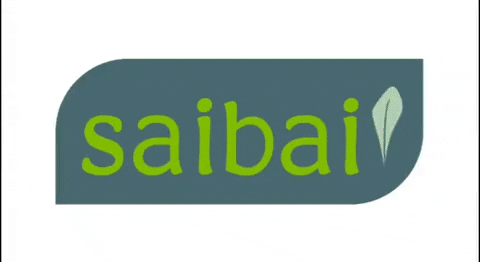 Saibaisaladas giphyupload healthy saúde saudavel GIF