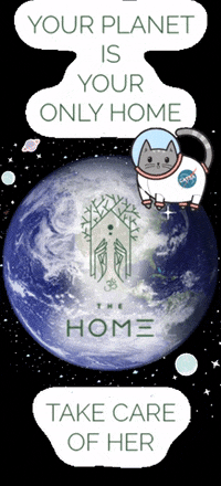 THE_Home stars home help earth GIF