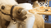 Fashion Crave GIF by YAGYA