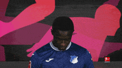 Tsg Hoffenheim Football GIF by Bundesliga