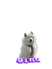Puppy Smile Sticker