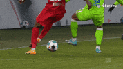 Football Sport GIF by VfL Wolfsburg