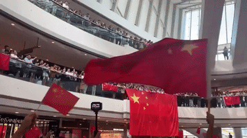 Pro-Beijing Demonstrators Unfurl Chinese Flags at Hong Kong Mall
