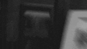 black and white australia GIF by François Dejardin