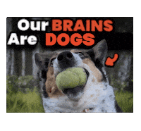 Sticker Dogs Sticker