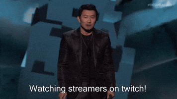 Watching Streamers On Twitch 