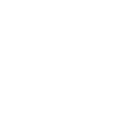 Thevault Elitesquad Sticker by The Vault Total Conditioning