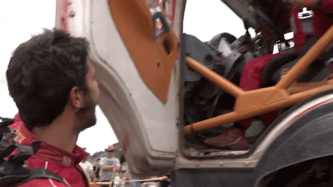 Palibex giphyupload GIF