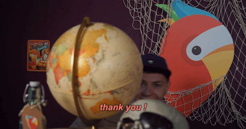 GIF by HolidayPirates