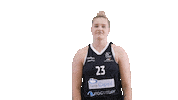 Sport Basketball Sticker by Basket_fi