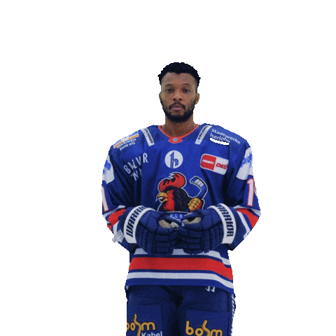 Happy Sport Sticker by Iserlohn Roosters