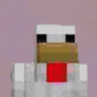 What The Hell Wtf GIF