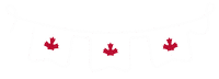 Streamer Bunting Sticker by Canada Life / Canada Vie