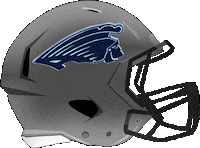 StarnbergArgonauts football ball touchdown americanfootball Sticker