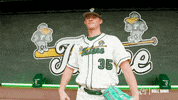 College Baseball Michael GIF by GreenWave