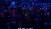 Fan GIF by BLAST