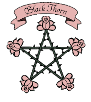 Pink Flower Sticker by Black Thorn