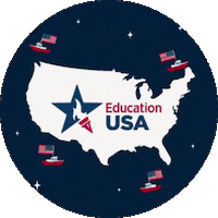 Usa Boats Sticker by educationusaczech