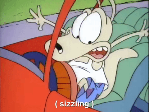 rockos modern life nicksplat GIF
