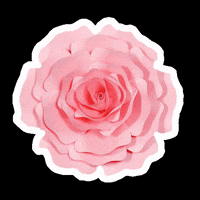 Party 花 GIF by takanaga