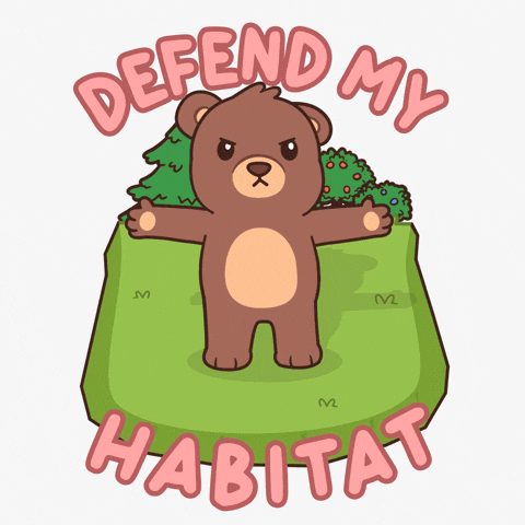 Teddy Bear Wildlife GIF by BEARISH