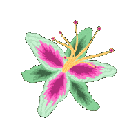 Flower Febrero Sticker