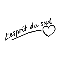 Kiss_FM espirit du sud Sticker