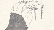 kohanawilson animation 2d animation hand drawn animation pencil animation GIF