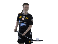 Floorball Salibandy Sticker by F-liiga