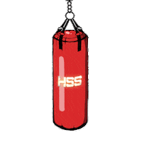 Boxing Holywings Sticker by HW Group
