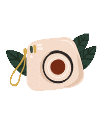 Camera Polaroid Sticker