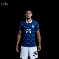 France Uefa GIF by Respective