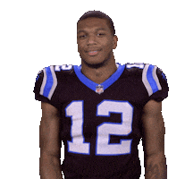 carolina panthers sticker by NFL
