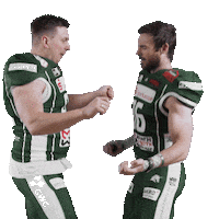 Football Nfl Sticker by Schwäbisch Hall Unicorns